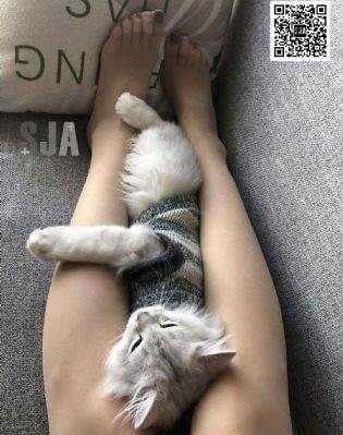 男女刺激视频无遮挡_HD免费观看